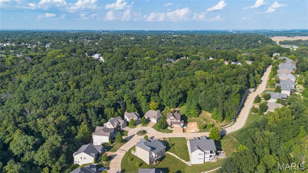 First slide