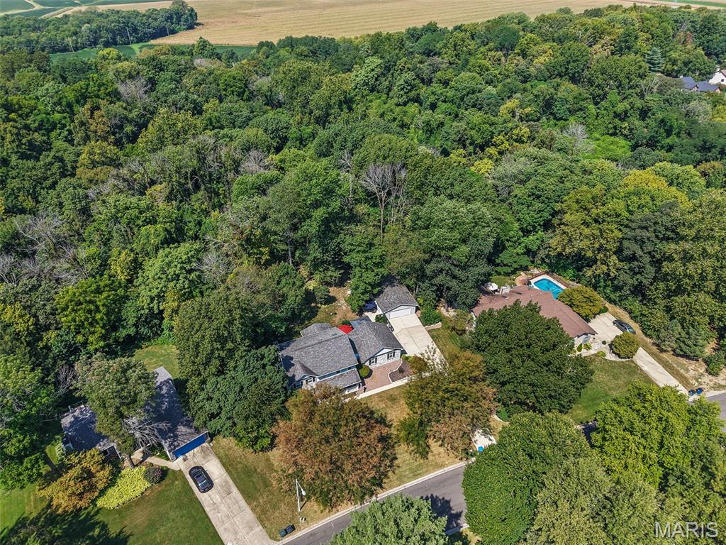 First slide