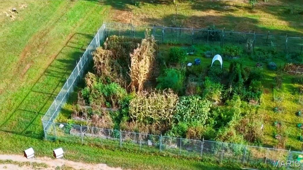 First slide