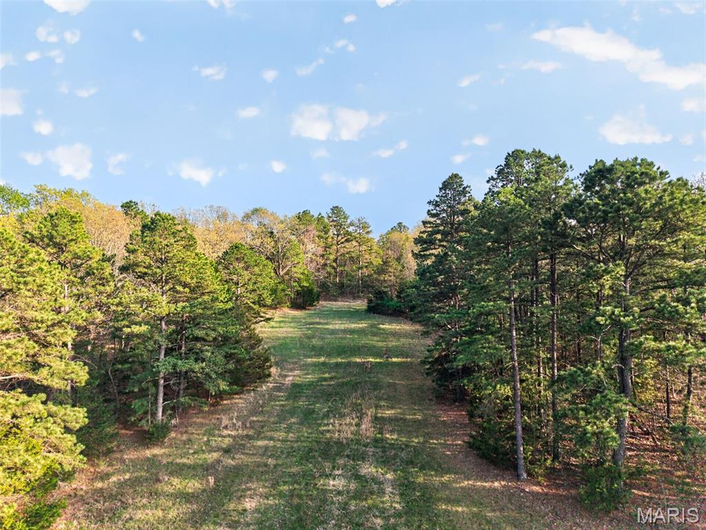 First slide